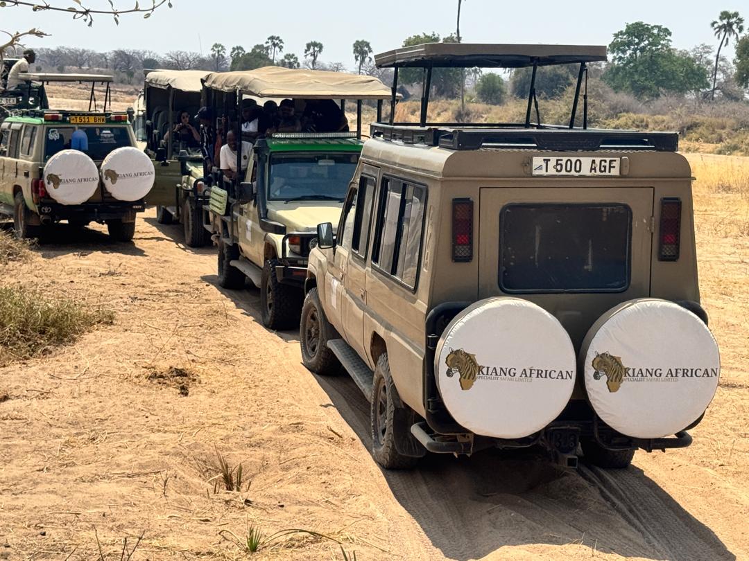 Luxury Safari Experience