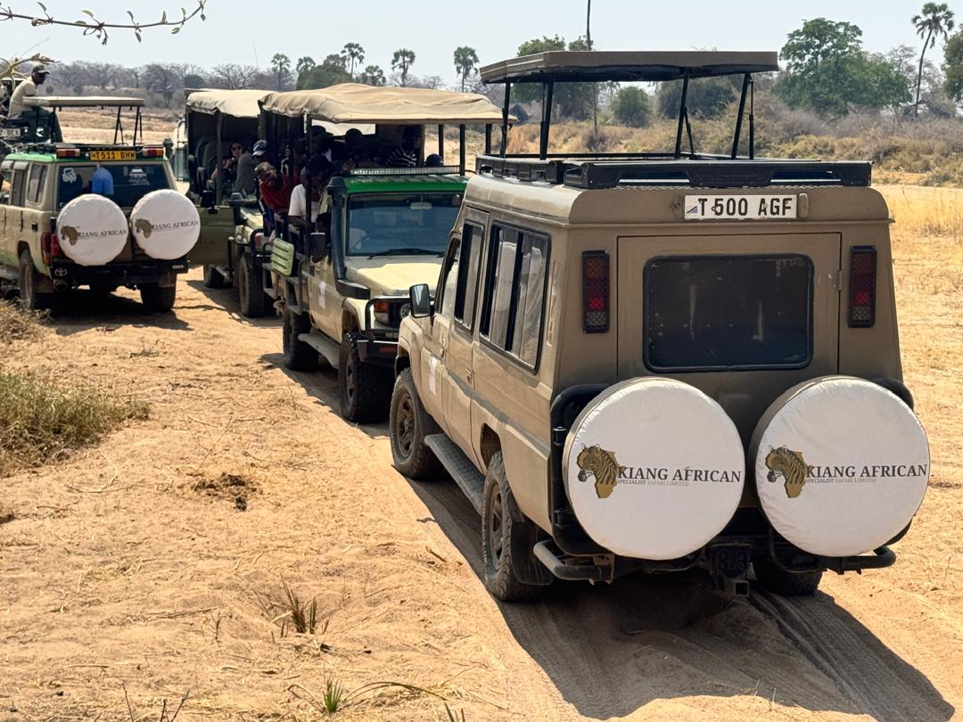 Luxury Accommodations