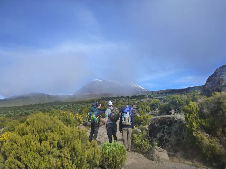 Lemosho Route