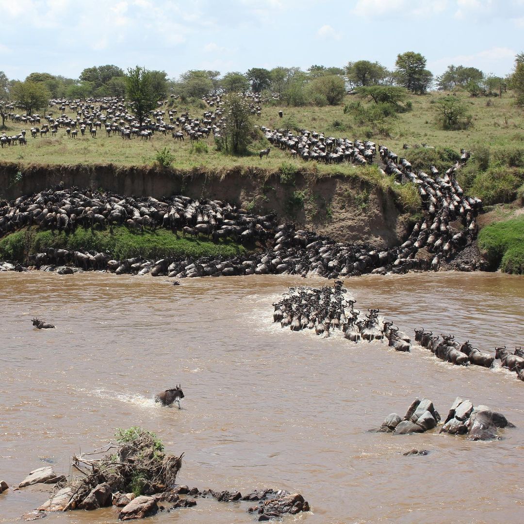 Ngorongoro & Serengeti Combo