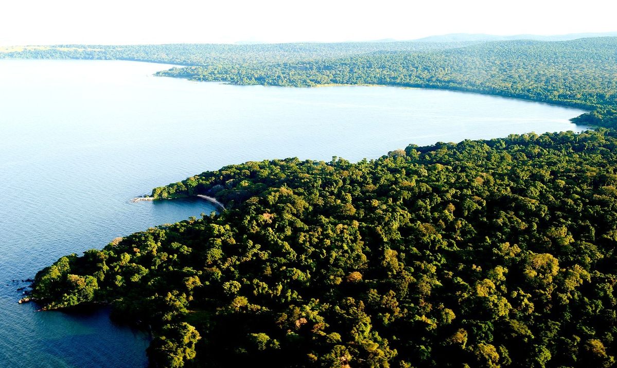 Rubondo Island National Park