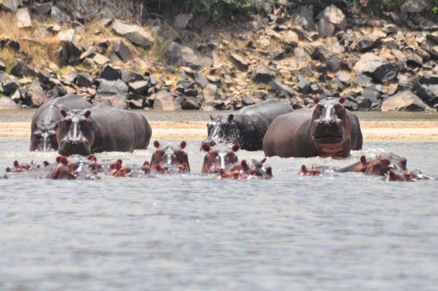 Selous Game Reserve
